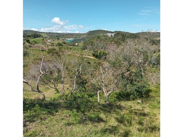 place photo 55