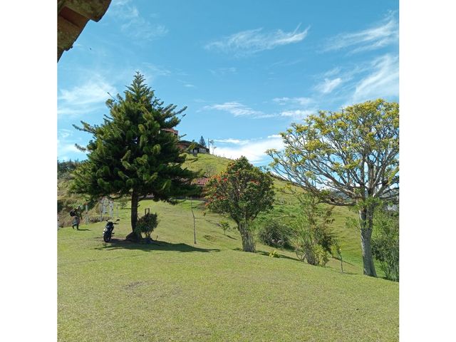 place photo 68