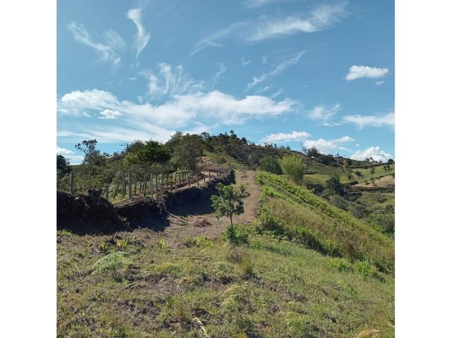 place photo 67