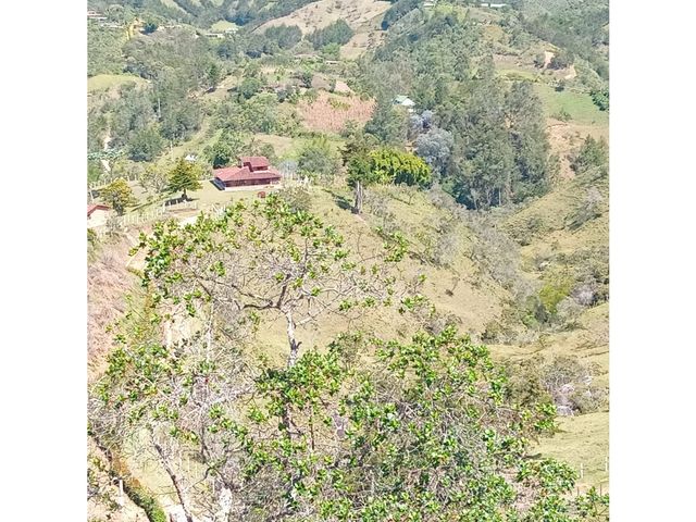 place photo 66
