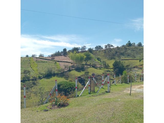 place photo 58
