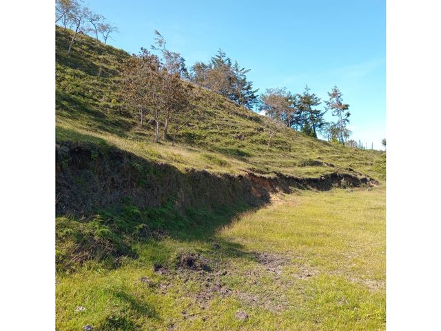 place photo 46