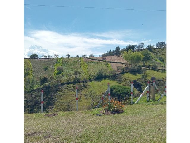 place photo 54