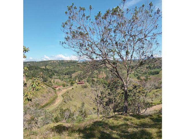 place photo 61
