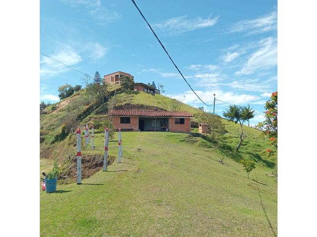 place photo 62