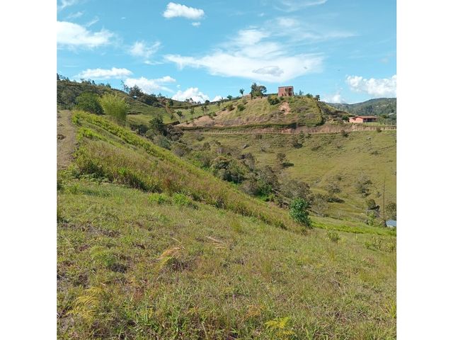 place photo 64