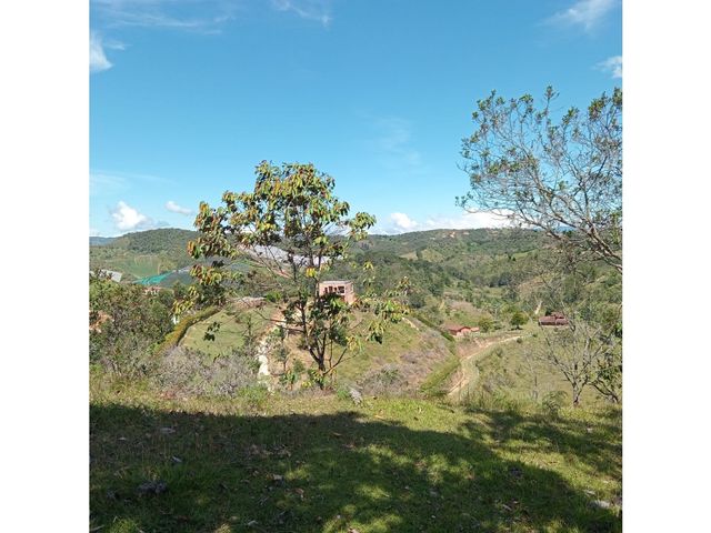 place photo 48