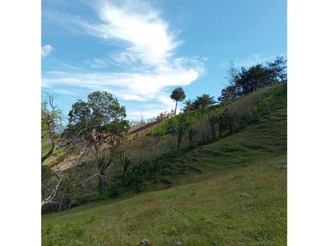 place photo 59