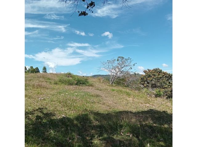 place photo 57