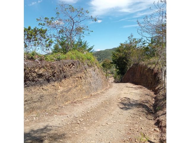 place photo 42