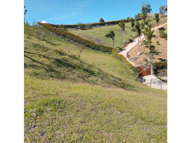 place photo 47