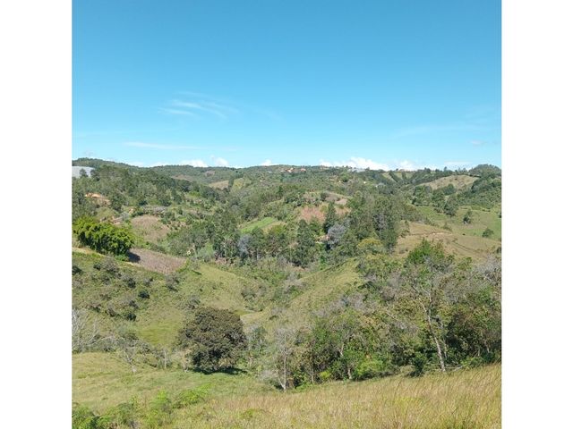 place photo 63