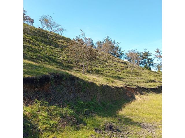 place photo 60