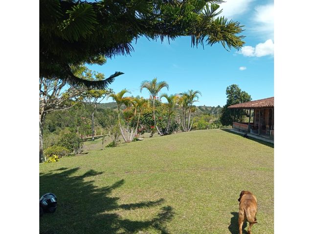 place photo 44