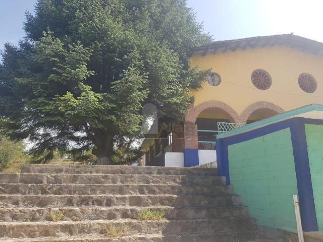 place photo 30