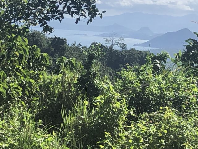 place photo 36