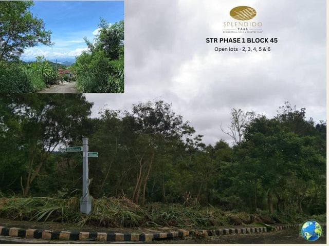 place photo 14
