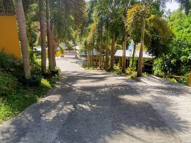 place photo 17