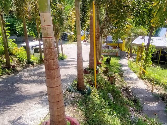 place photo 13