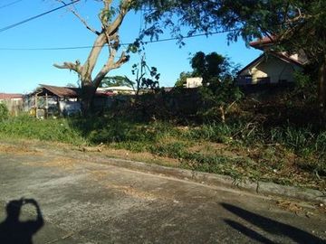 6,656 sq. meters Residential Lot for Sale at Baliuag, Bulacan
