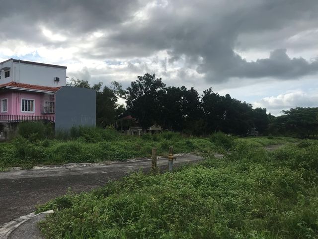 place photo 23