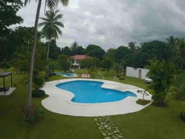 place photo 27