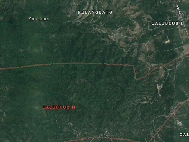 82.5 Hectares Land for Sale in San Juan, Batangas