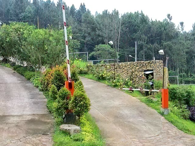 place photo 15