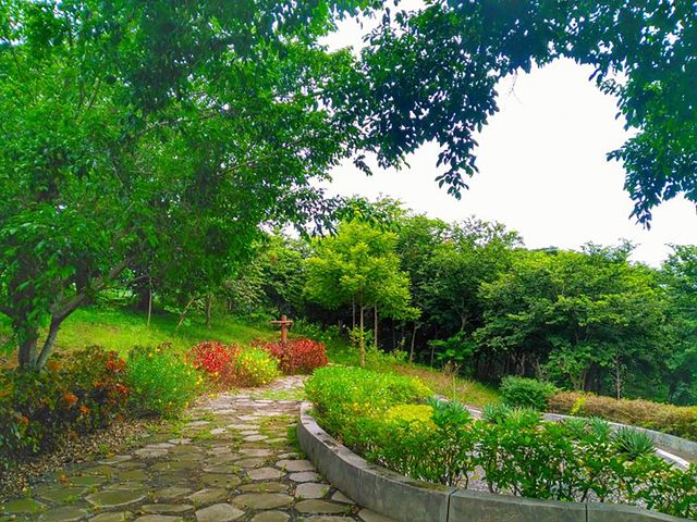 place photo 6