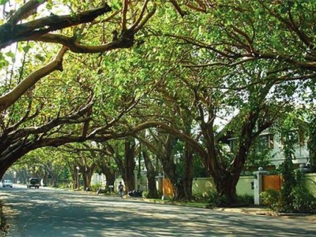 Land for Sale in Dasmarinas Village Makati, Great Success Realty