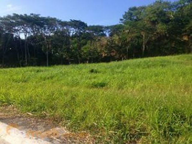 4,500 sqm Residential Property For Sale in New Manila, Quezon City