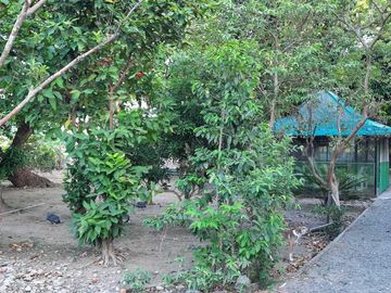 place photo 22