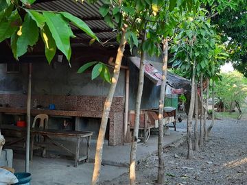 place photo 18