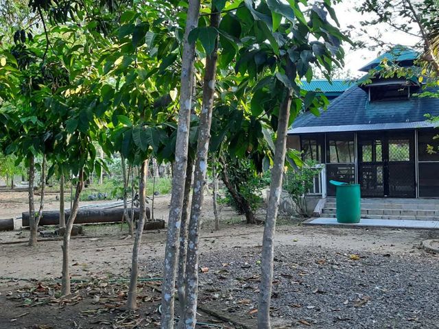 place photo 19