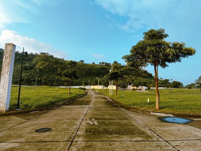place photo 6