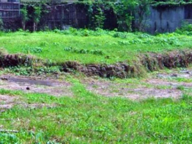 2,000 sqm Vacant Residential Lot for Sale in Forbes Park, Makati City