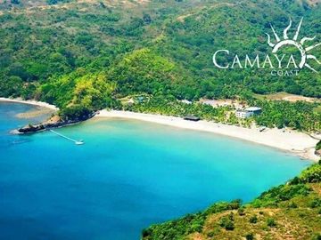 place photo 26