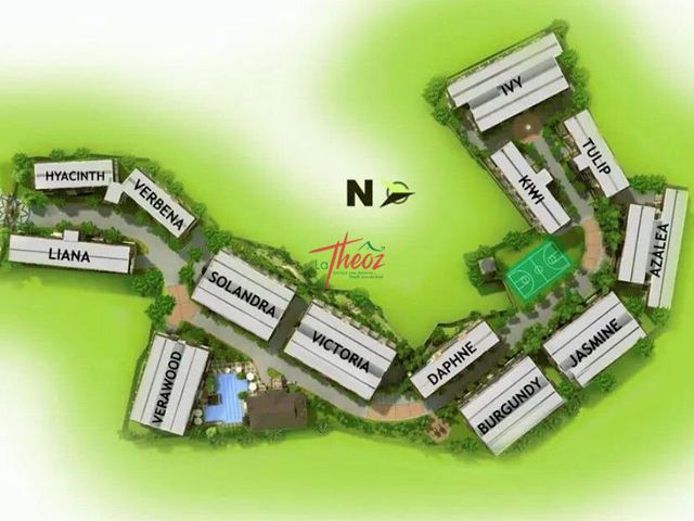 place photo 7