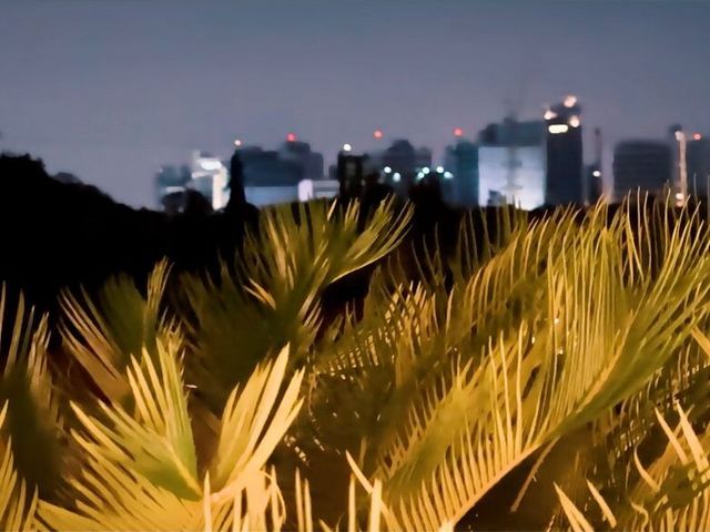 place photo 49