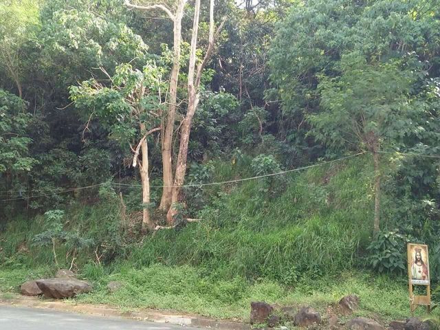 For Sale: Residential Lot Parkridge Estates, Antipolo