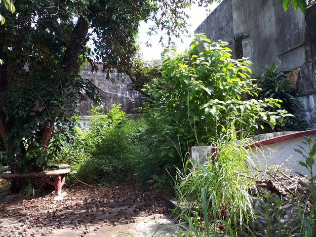 place photo 17