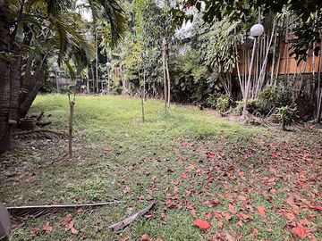 place photo 22