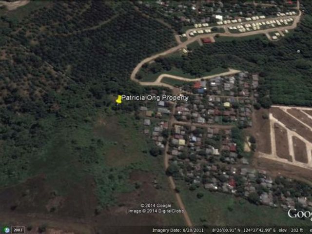 place photo 2