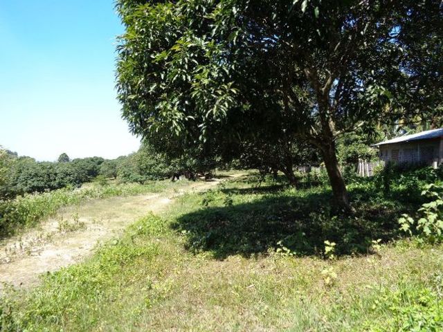 place photo 19