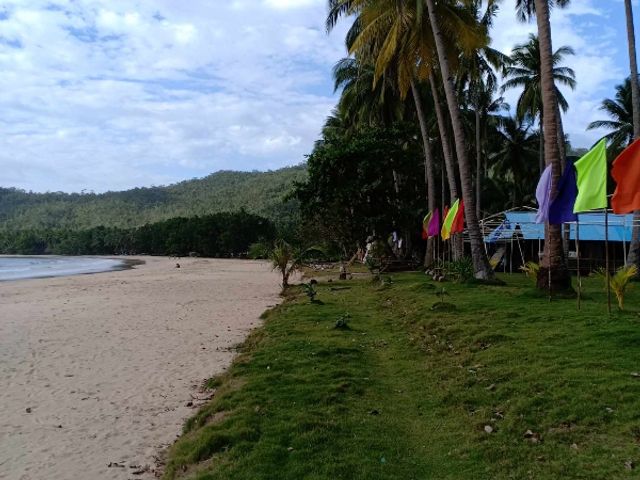 place photo 23