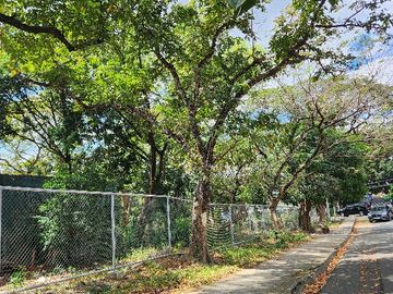 Corner Vacant Lot property for sale in Talayan Village, Quezon City
