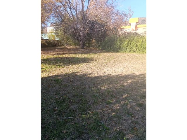 place photo 33