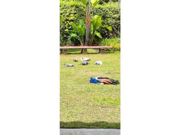place photo 48