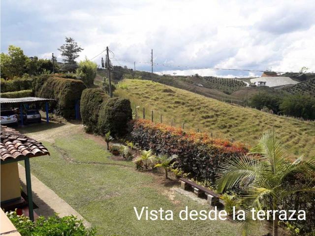 place photo 46