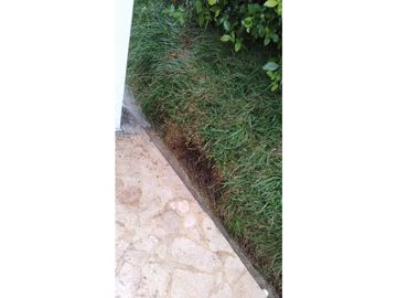 place photo 47